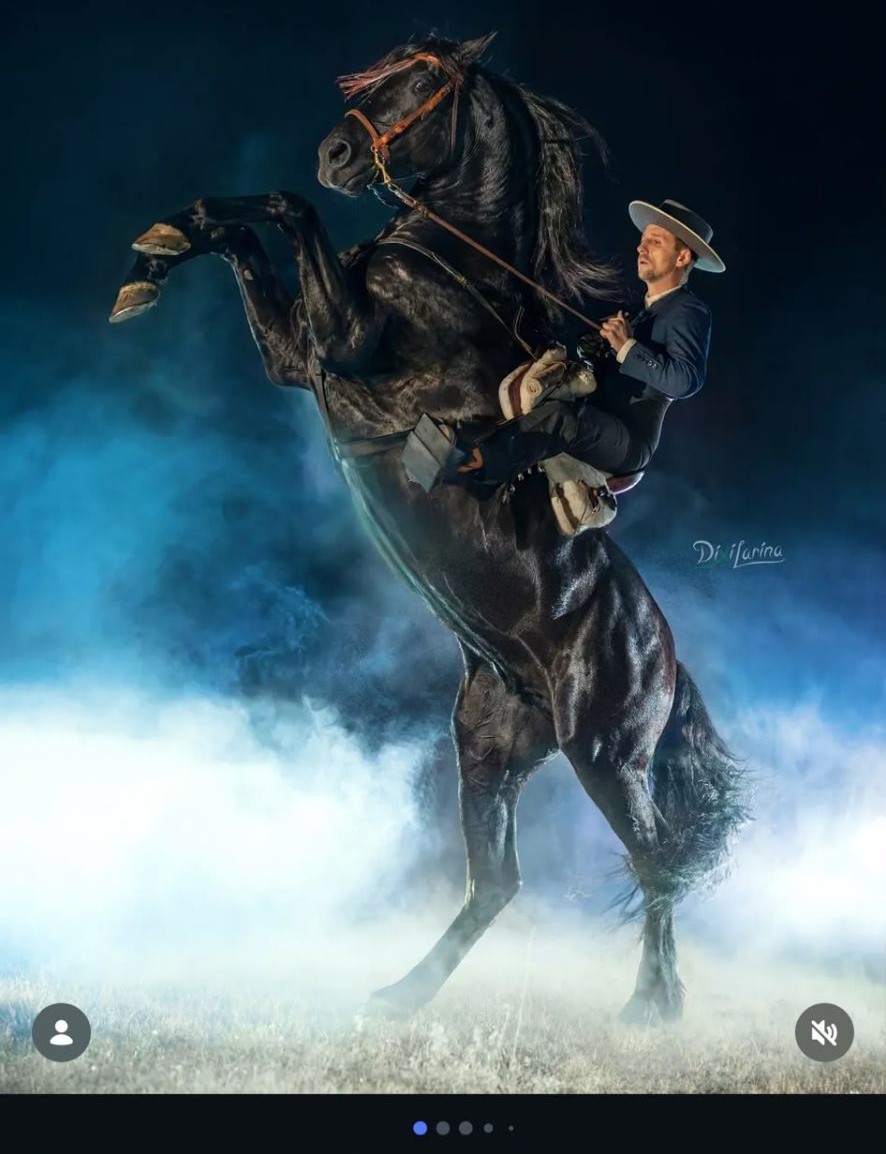 Alberto Migueles realizando doma clásica con un caballo negro encabritado en un ambiente nocturno